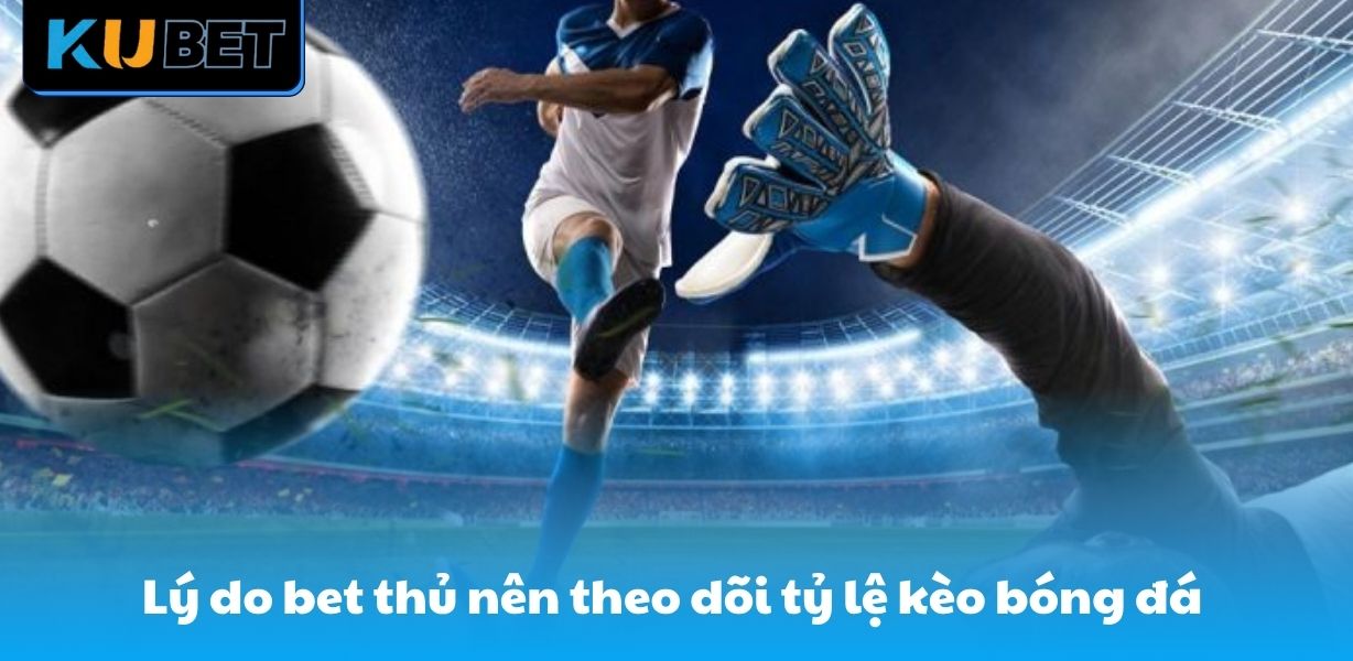 Lý do bet thủ nên theo dõi tỷ lệ kèo bóng đá 